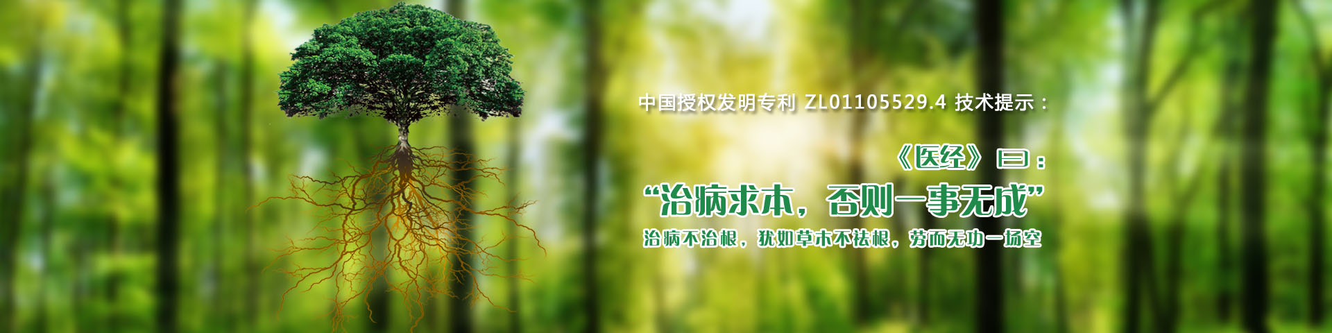 輪播圖2